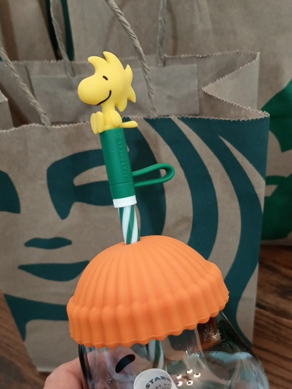 Peanuts + Starbucks 2026 Snoopy Glass Cold Cup 🎃🍂💚